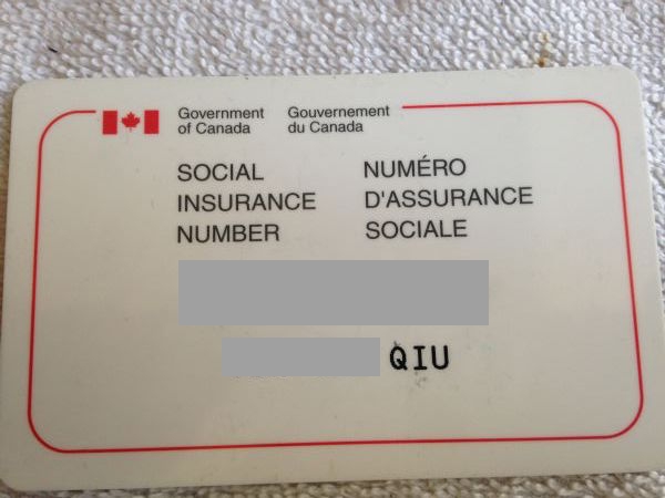 加拿大工卡。所有社會福利都取決于此卡。