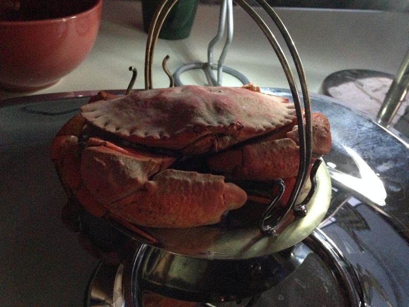 我在島上時經常吃的海蟹。這蟹叫紅巖蟹，殼硬但肉有一種清香，特別是鉗子占有三分之一左右的肉量。我是百吃不厭。