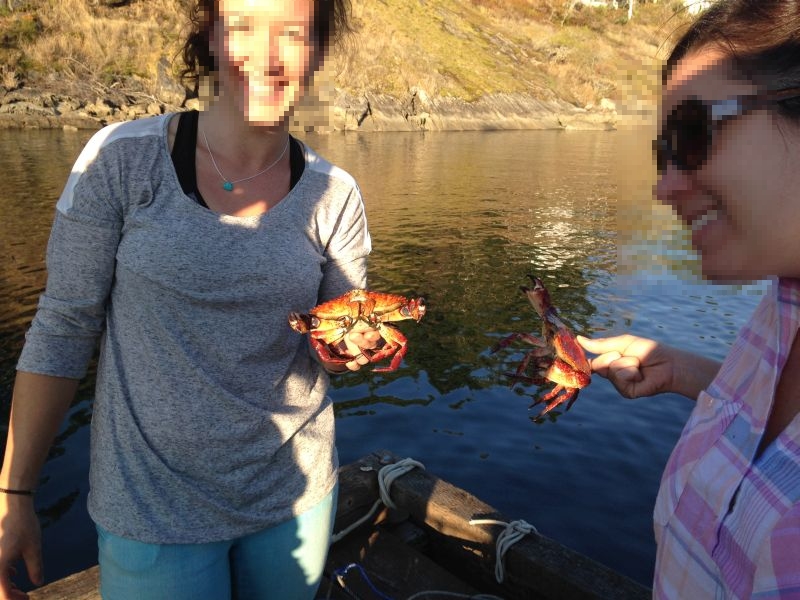 這是夏天從維多利亞來旅游的小學老師。請注意她們握蟹的手勢，紅巖蟹的鉗子十分有力，在捕捉時必須特別小心。