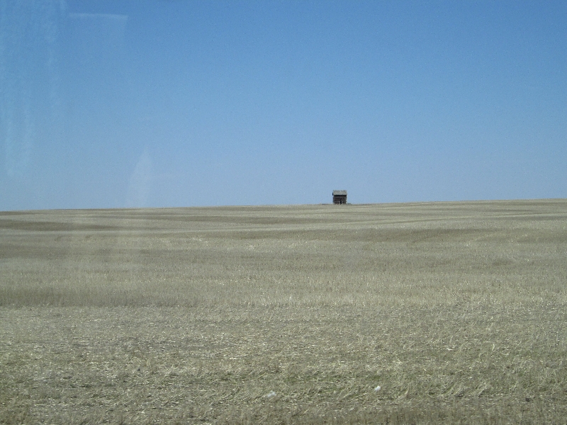 麥田守望者，這是我在路過馬尼托巴時拍下隨手拍下時的第一印象。草原三省皆為空曠而適合耕作或放牧的平原，開車兩三小時可能都是不變的田園景色。在臨近洛基山脈的艾伯塔，的確可以見到風吹草低見牛羊的情景。不過這是適合機械大耕作的地區。
