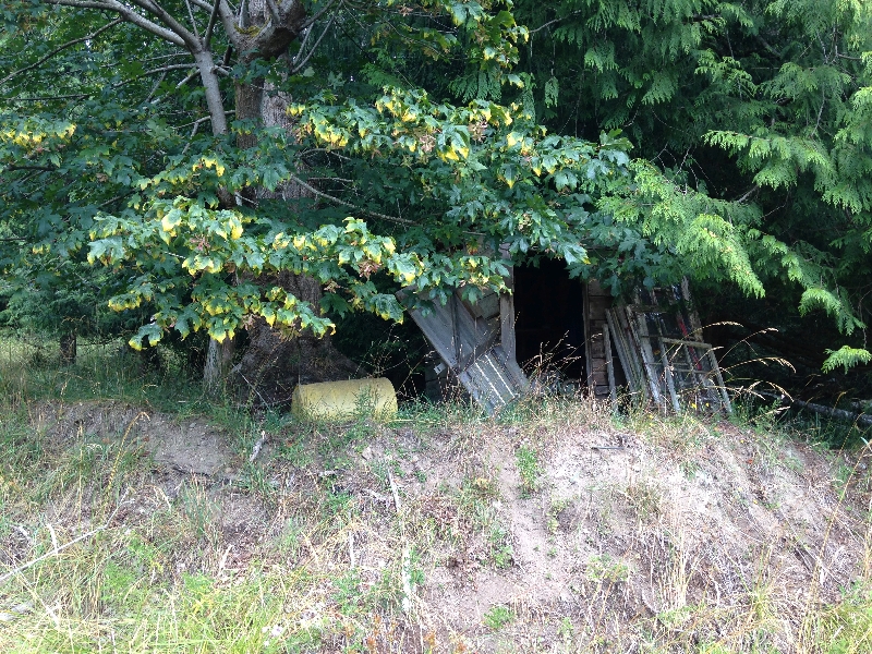 在G3的樹林和平2的交界處，有一間半壞的木屋。