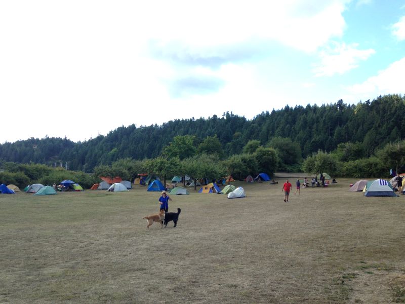 夏天在野營地大家搭帳篷露營。